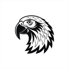 Obraz premium Bird of Prey Logo Style Black and White Drawing