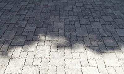 地面に映る樹木の影