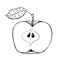 Black and white apple half with leaf and seeds simple line drawing isolated on white background coloring page style