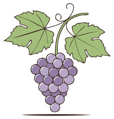 Fototapeta premium Fresh Purple Grapes with Green Leaves Vector Illustration for Food and Drink Designs
