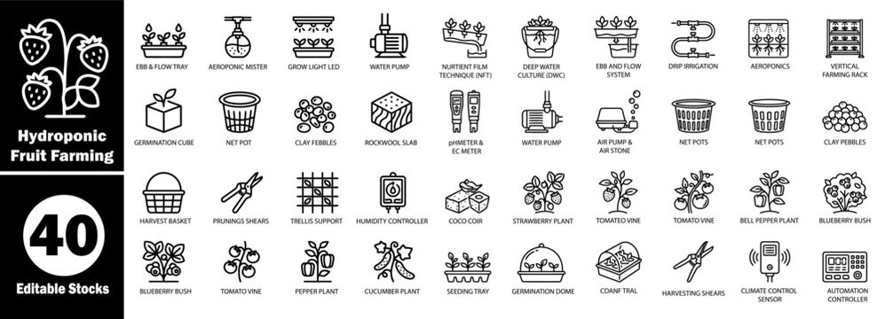 Hydroponic fruit farming equipment. And cultivation methods linear icon set pack Vector.