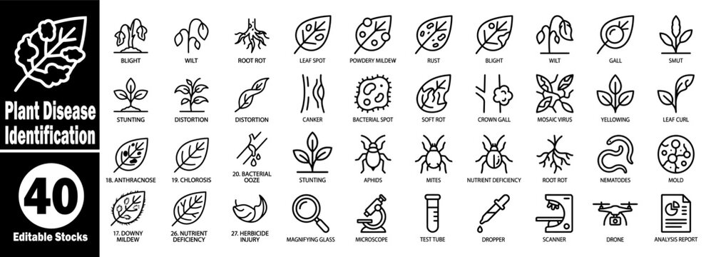 Plant disease identification set for agriculture pest and sickness plant research elements. 