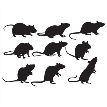 vector silhouettes of rats
