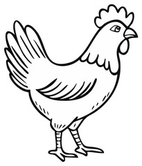 Black and white illustration of a chicken, side view, with detailed outlines.