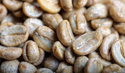 Macro close-up of raw green coffee beans before roasting, unroasted green coffee bean texture background