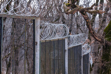 a fence made of mesh with barbed wire in the forest