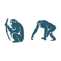 Obraz premium Vector illustration of a silhouette of a chimpanzee, a primate ape wild animal