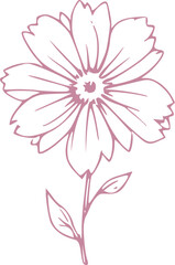 Naklejka premium Floral Line Art Graphic Illustration