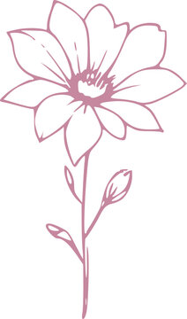 Spring Flower Graphic illustration 