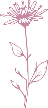 Spring Flower Graphic illustration 