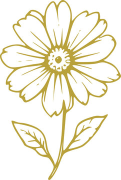 Spring Flower Graphic illustration 