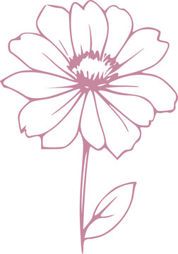 Spring Flower Graphic illustration 