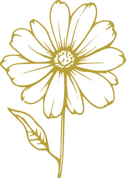 Spring Flower Graphic illustration 