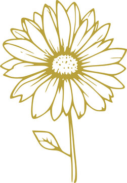 Spring Flower Graphic illustration 