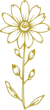 Spring Flower Graphic illustration 
