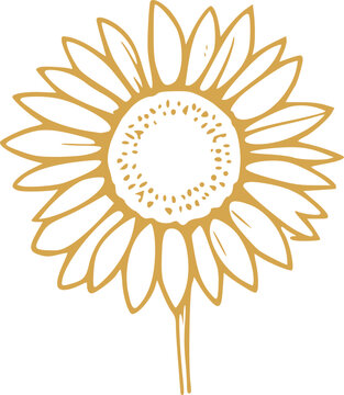 Spring Flower Graphic illustration 