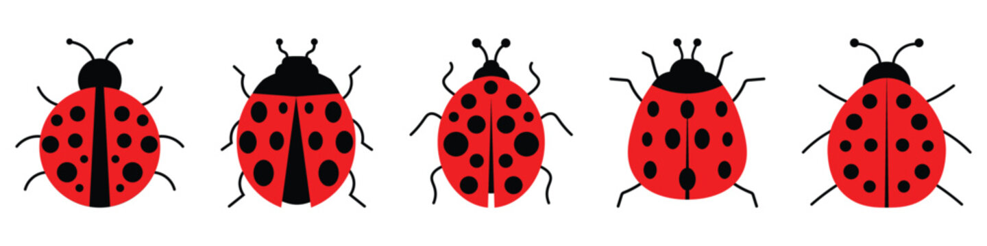 Collection of ladybug icon set. Stylish ladybug vector  set with red and black colors. Red beetle icons with black spots. Vector illustration.