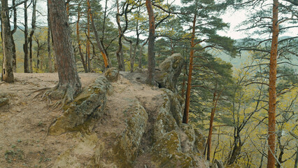 Serene mountain landscape with a rocky cliff edge and pine trees in an autumn forest