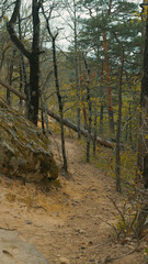 Winding dirt trail through a quiet hillside forest with mossy rocks and early spring foliage.