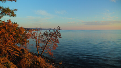 A serene coastal view featuring a tranquil sea, gently sloping shoreline, and a backdrop of distant mountains. A lone tree leans over the water, illuminated by soft evening light.