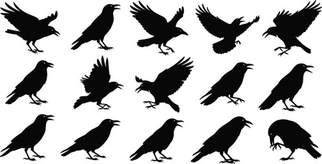 Naklejka premium Black raven and crow silhouette vector set featuring birds in various poses like flying, sitting, croaking, and landing for nature design