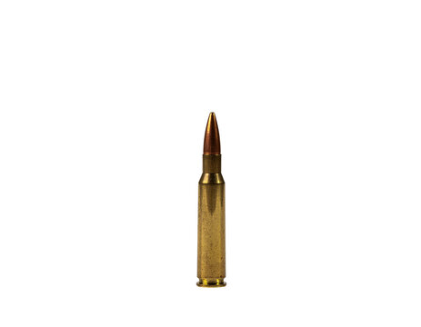 Supplies cartridge with full brass casing and copper-jacketed projectile standing upright