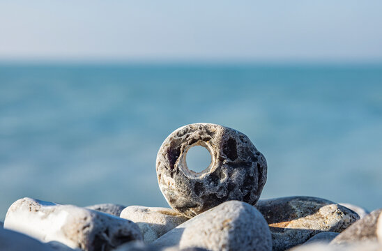 H&uuml;hnergott  Lochstein  an der  Nordeurop&auml;ischen K&uuml;ste