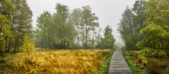 Nebelstimmung im Schwarzem Moor in der Bayrischen Rhön