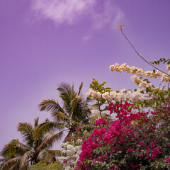 Vibrant tropical flowers and palm trees under purple sky