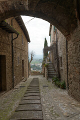 Charming narrow alleyway in the historic center of Spello, Umbria, Italy, lined with stone buildings, potted plants, and flowering balconies.
