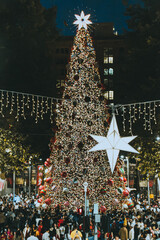 christmas tree in the city