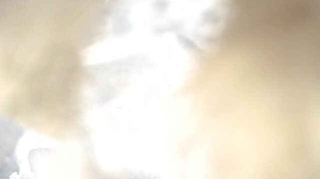 Playful young bearded collie impatiently hopping toward the camera in snow, funny blooper style with joyful energy