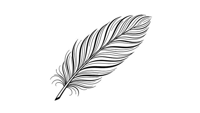 Black and white illustration of a single feather on white background.