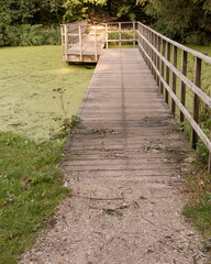 Wooden bridge leads to water area surrounded by green plants with walking path and clear sky above