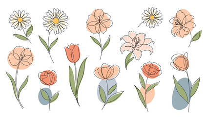 Collection of various hand drawn flowers including daisies and tulips with minimalist line work and soft pastel color accents on a white background.