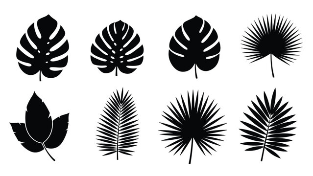 Various silhouettes of tropical leaves including monstera and palm fronds are displayed in a grid pattern on a white background for design use.