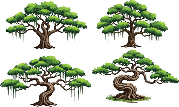 Set of four detailed banyan tree vector illustrations with gnarled twisted trunks and hanging roots isolated on white background for nature and landscape design.