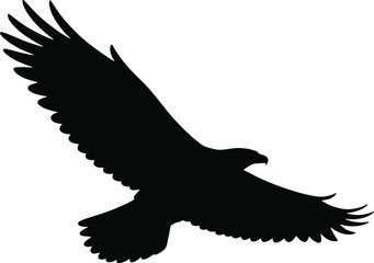 Flying Eagle Silhouette with Spread Wings in Black Color Isolated on White Background Symbol of Freedom and Power