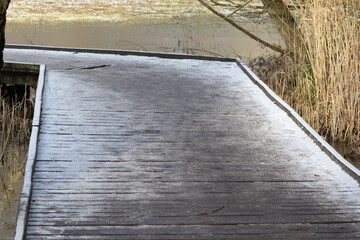 wooden bridge in the water