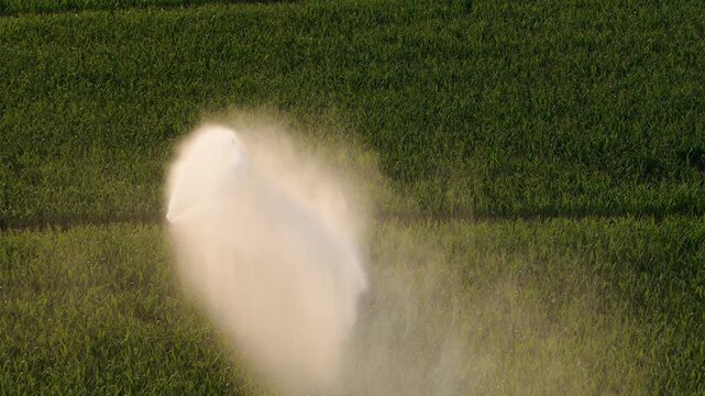 Industrial irrigation of a cornfield. Water waste on corn monoculture in France in summer.