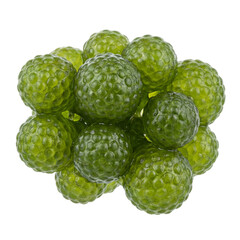 Fototapeta premium Dictyosphaeria seaweed showing clustered spherical green vesicles with glossy texture and cellular patterns, representing marine algae commonly found in tropical shallow reefs.