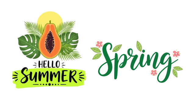 Vibrant spring illustration depicts a colorful papaya surrounded by lush leaves and flowers with hello summer text on a sunny background work 82.ai