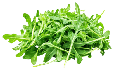 PNG Arugula vegetable arugula fresh.