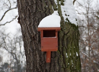 Wooden bird feeder nest attached to a tree trunk, covered with fresh white snow in a quiet winter forest. Natural outdoor scene showing cold weather, frost, and seasonal change. Textured tree.