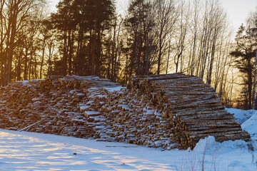 log store at the edge of the forest © talavietis