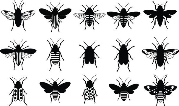 Silhouette of various insects in black and white
