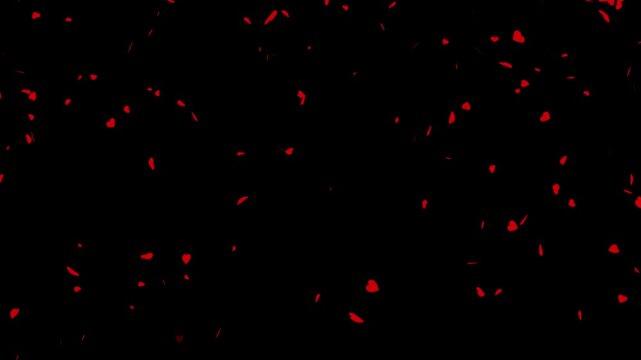 Valentines day romantic hearts icon falling animation. red hearts falling seamless loopable background, red hearts falling animation for chroma key overlay