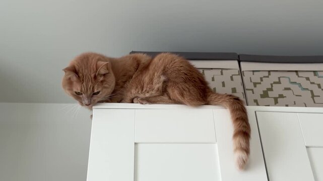 Explore Saint Tereza Church in Subotica, Serbia, and see the beautiful architecture and details of the cathedral. This site is a must-visit for those in the area