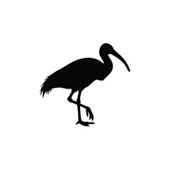 ibis bird silhouette icon vector flat design.