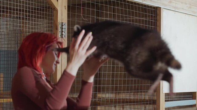 white woman red hair coati hug, shelter enclosure scene with surprised embrace, woman lifts coati into arms, mutual sniffing and close contact, warm shelter mood, tender trust moment